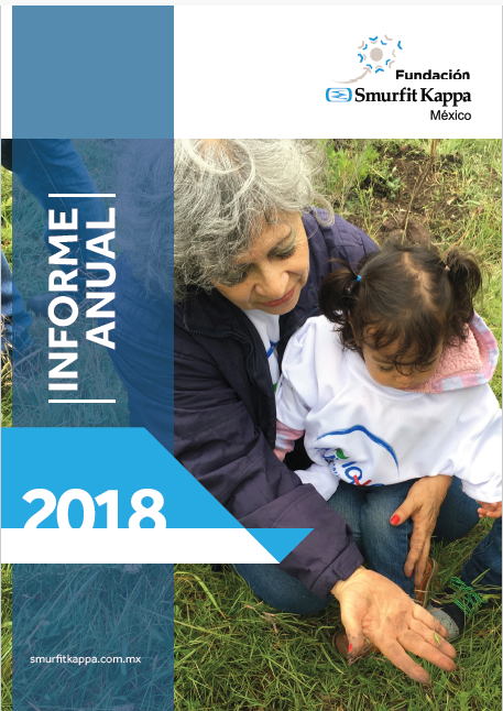 Informe 2018