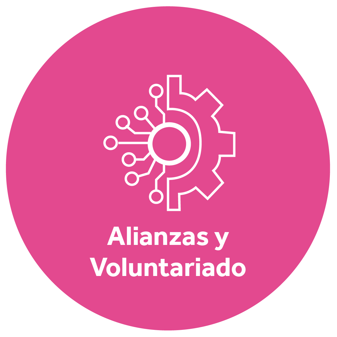 Ejes Fundacion-Alianzas y voluntariado