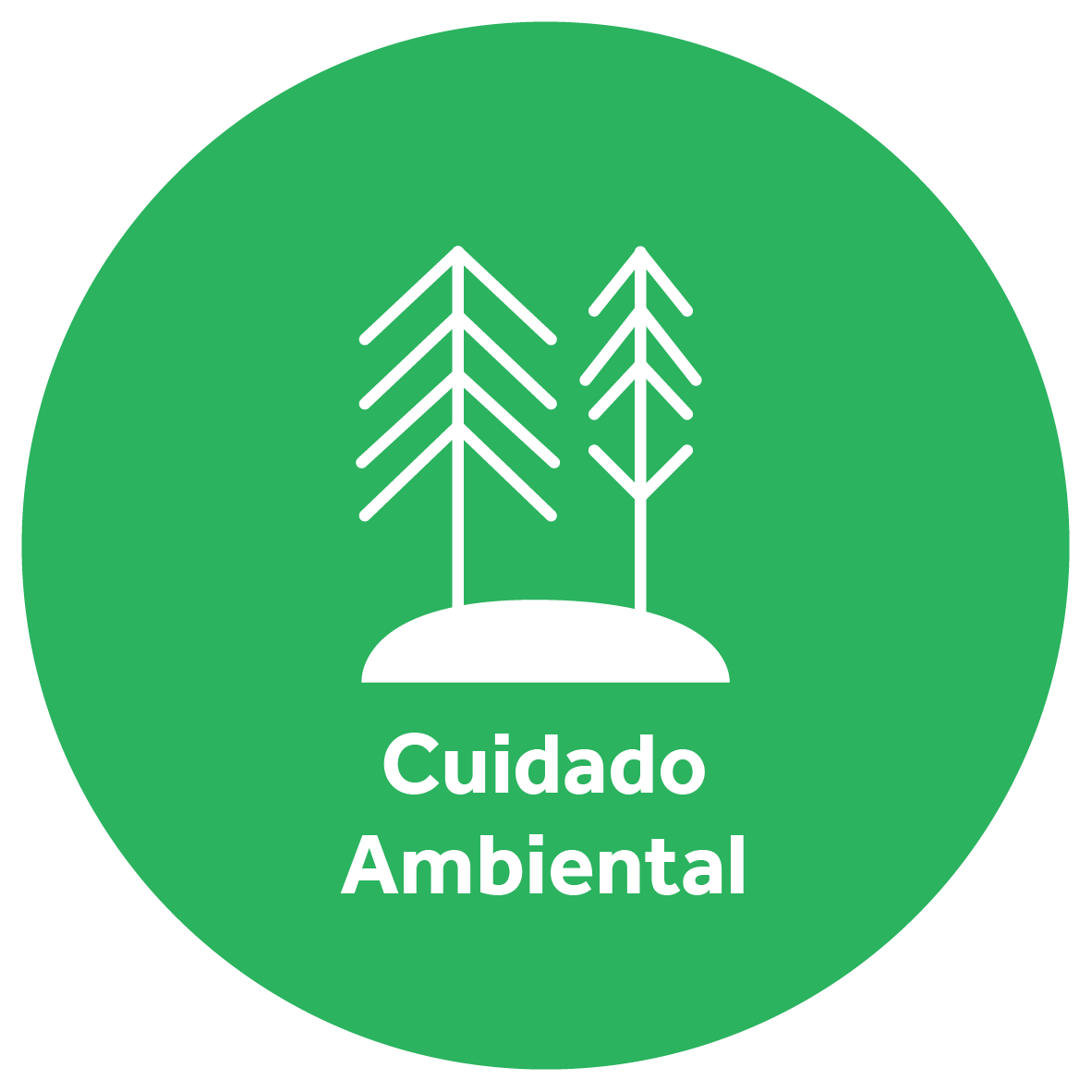 Ejes Fundacion-Cuidado Ambiental