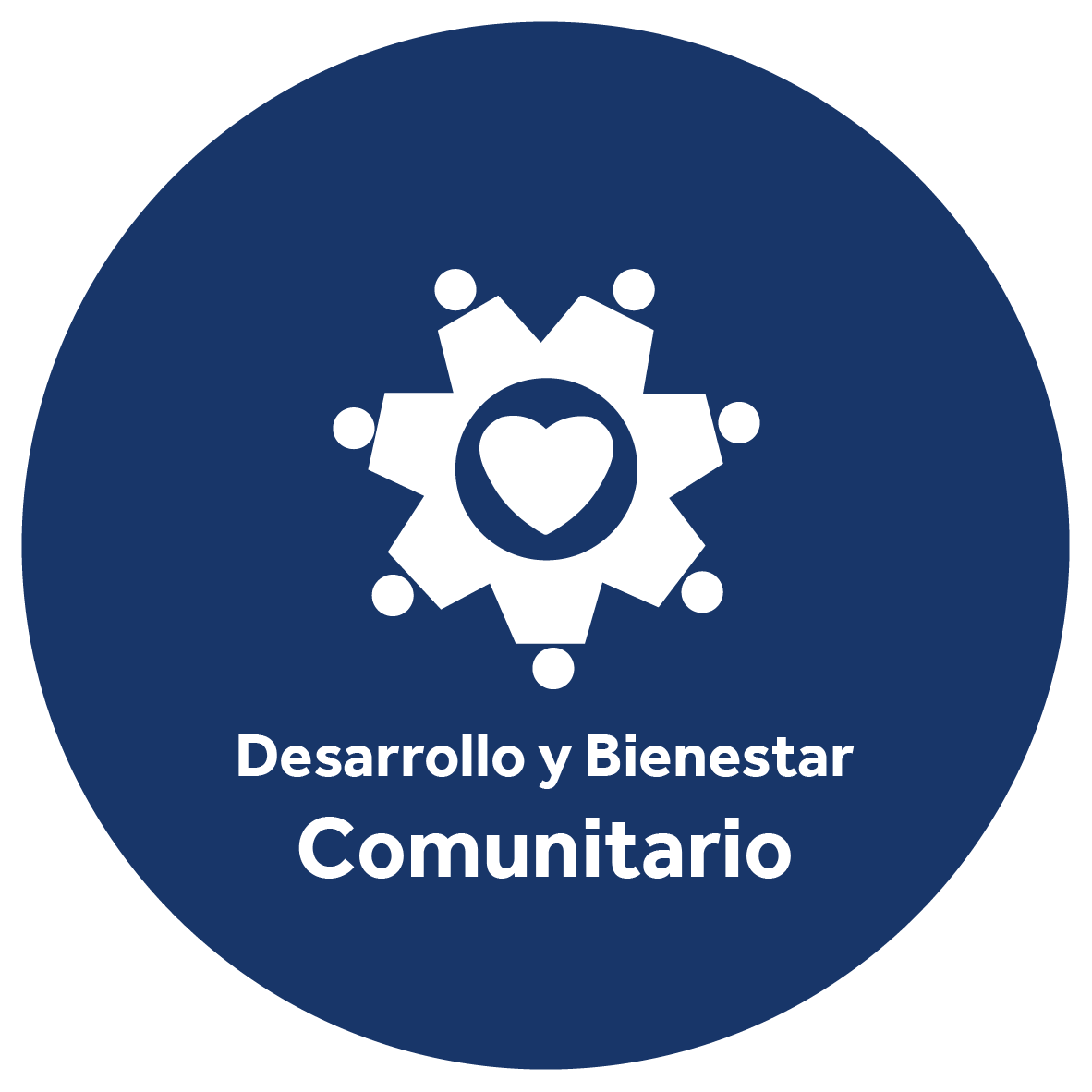 Ejes Fundacion-Desarrollo y Bienestar
