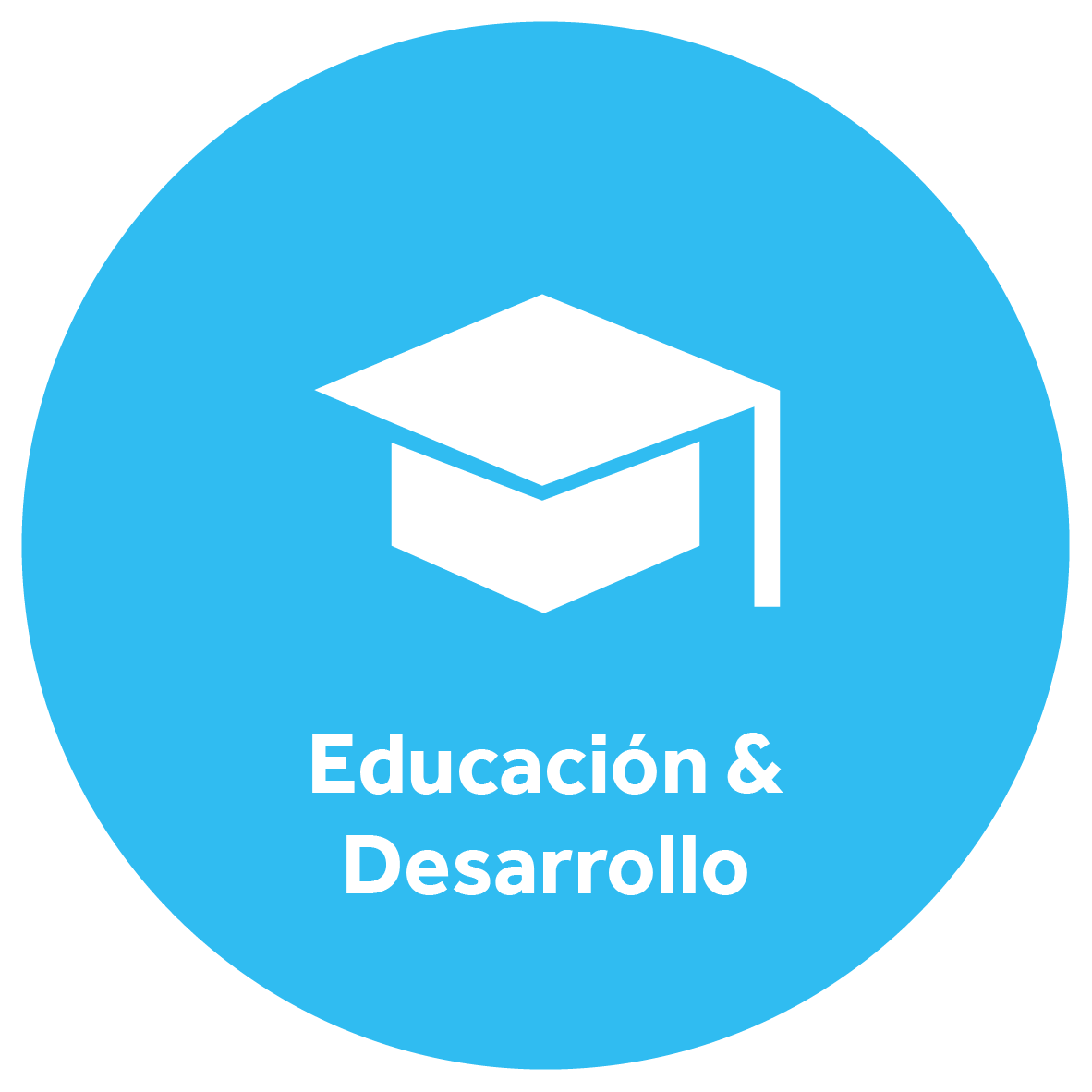 Ejes Fundacion-Educacion y desarrollo